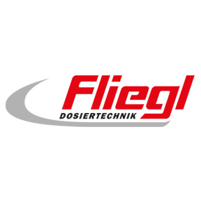 logo FLIE